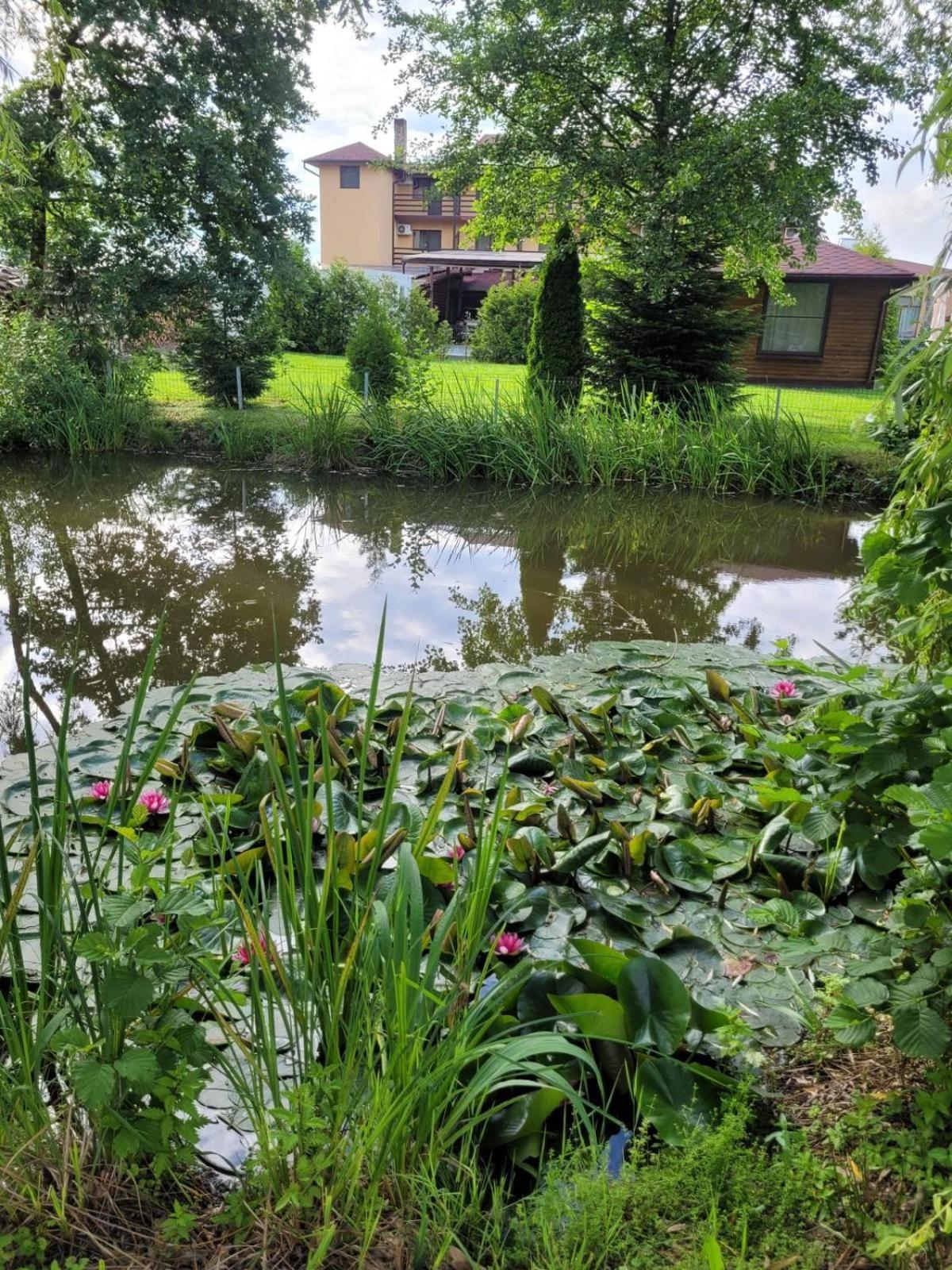 Hanul Lui Bogdan Economy Inn Făget Dış mekan fotoğraf